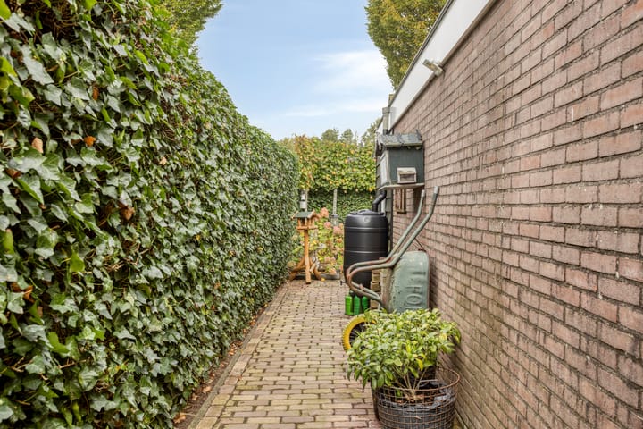 Photo 37 of Biesbongerd 24