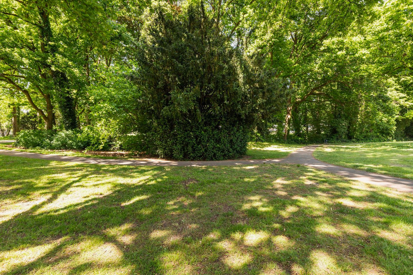 Photo 44 of Sprengenparklaan 4