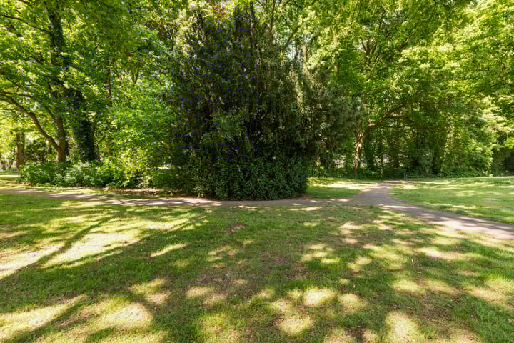 Photo 44 of Sprengenparklaan 4