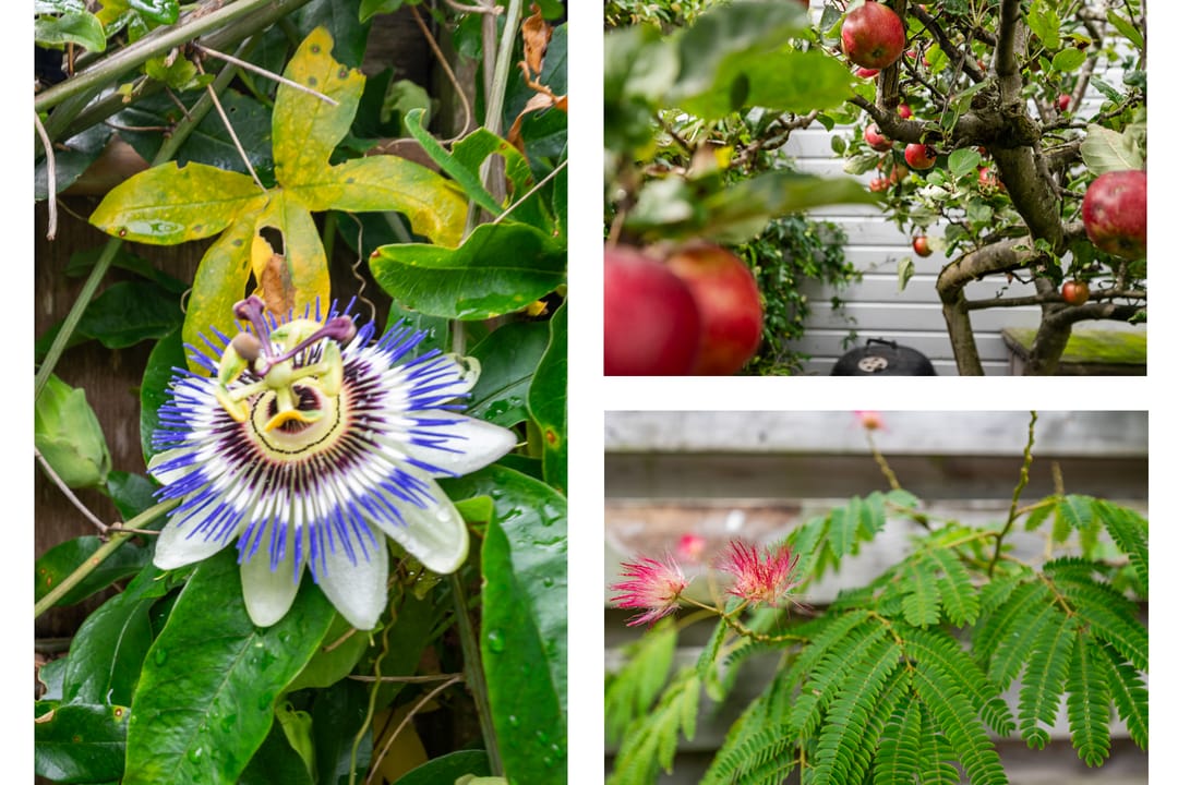 Foto 13 van Grote Buitendijk 106