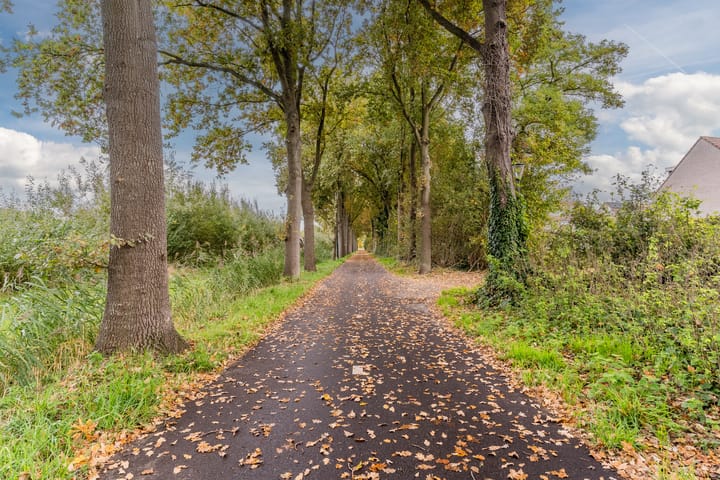 Photo 36 of Uitoord 31