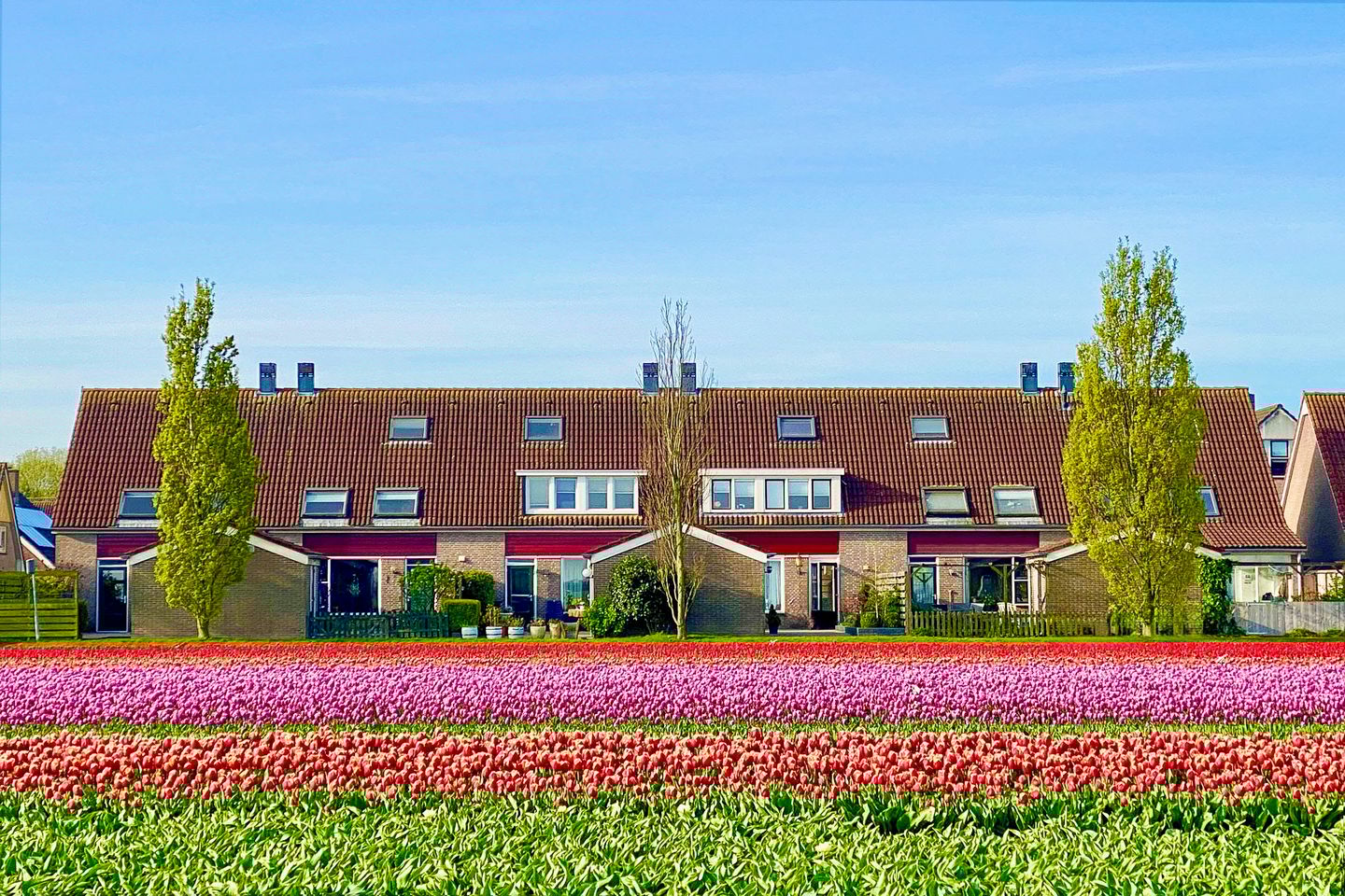 Foto 5 van Molwijk 11