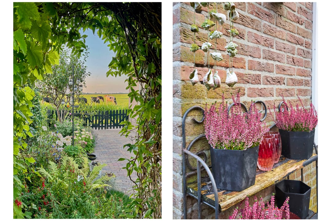 Foto 52 van Molwijk 11