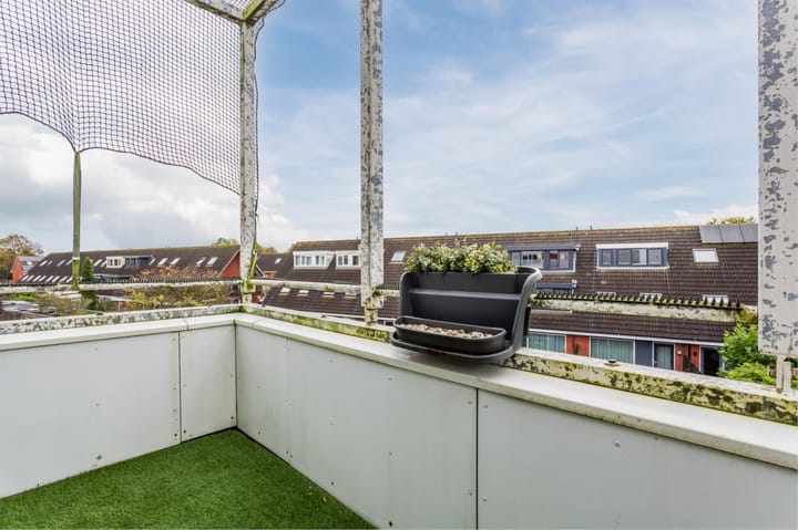 Foto 36 van Pegasus 39