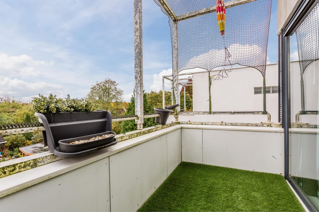 Foto 37 van Pegasus 39