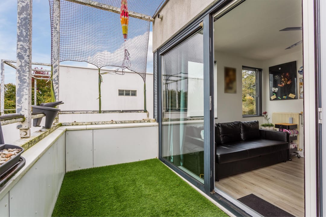 Foto 38 van Pegasus 39