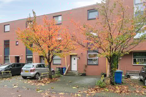 undefined main image