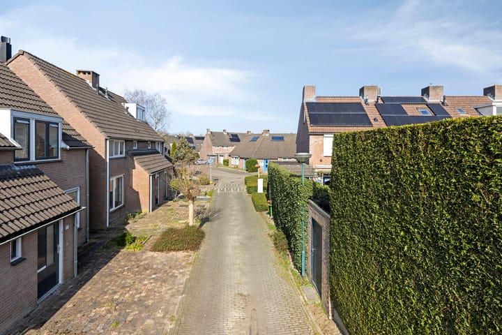 Foto 31 van Hoogkar 12