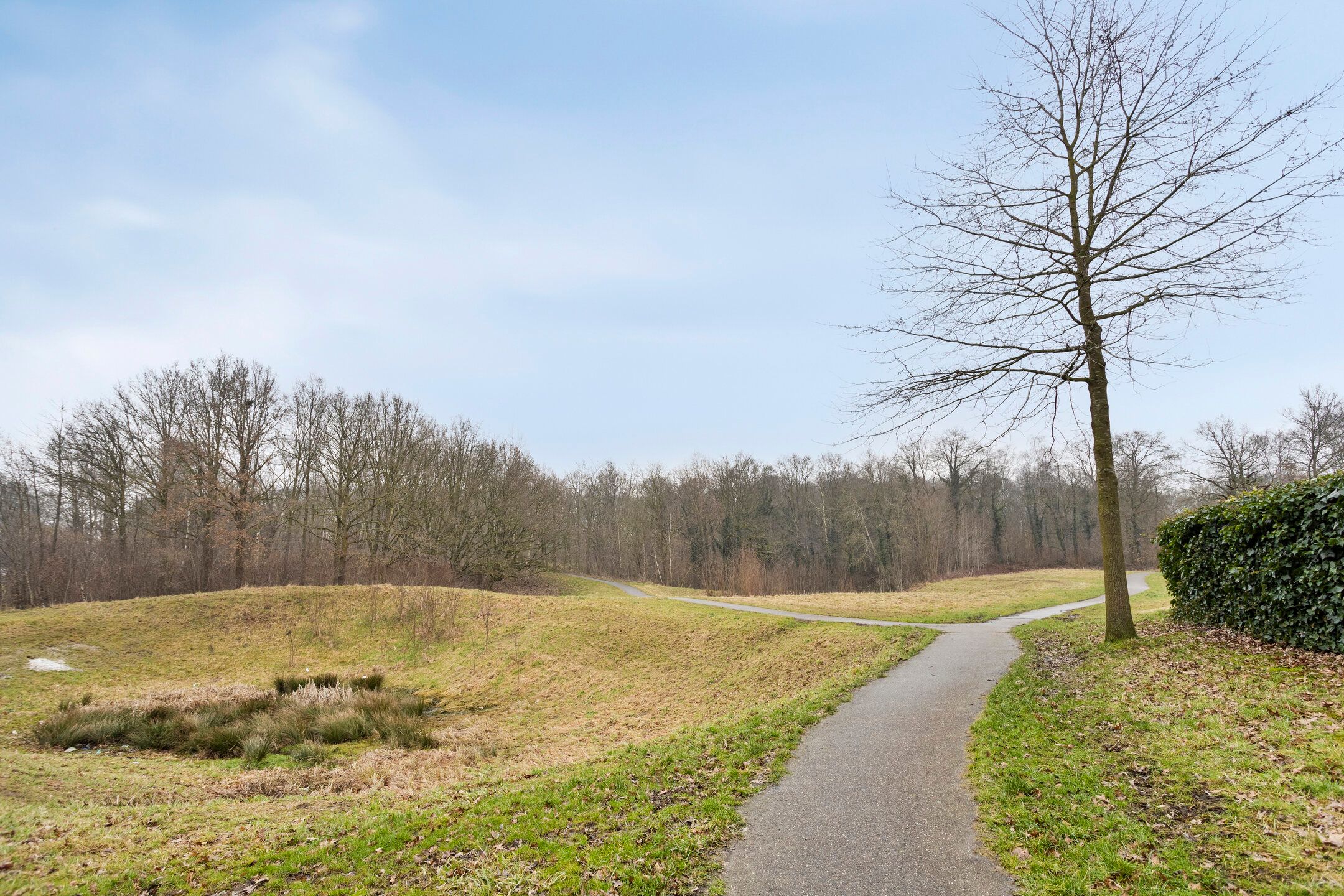 Foto 45 van Heidserparklaan 20