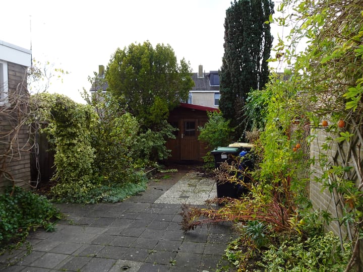 Photo 23 of Dwarspad 7