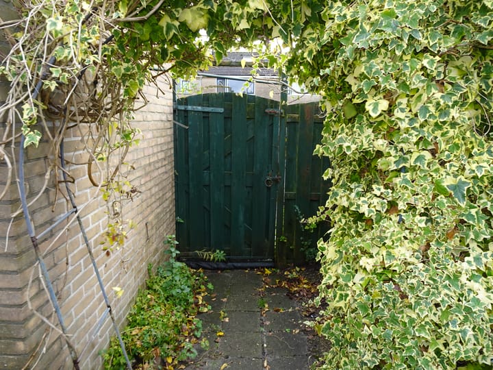 Photo 24 of Dwarspad 7