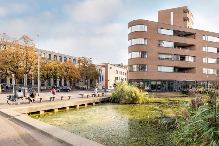 Foto 40 van Snellenshof 49