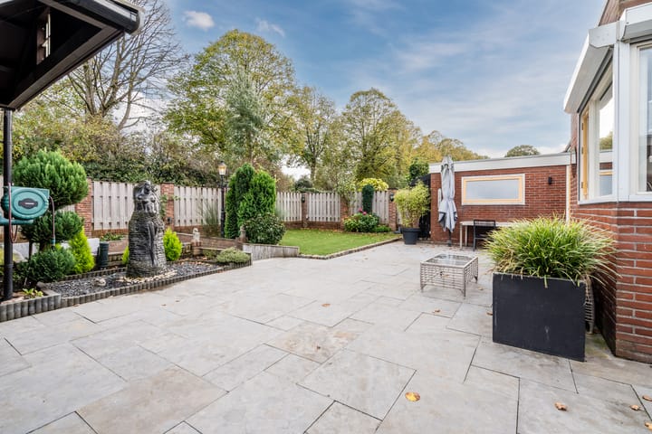 Photo 3 of Leeuwerik 11