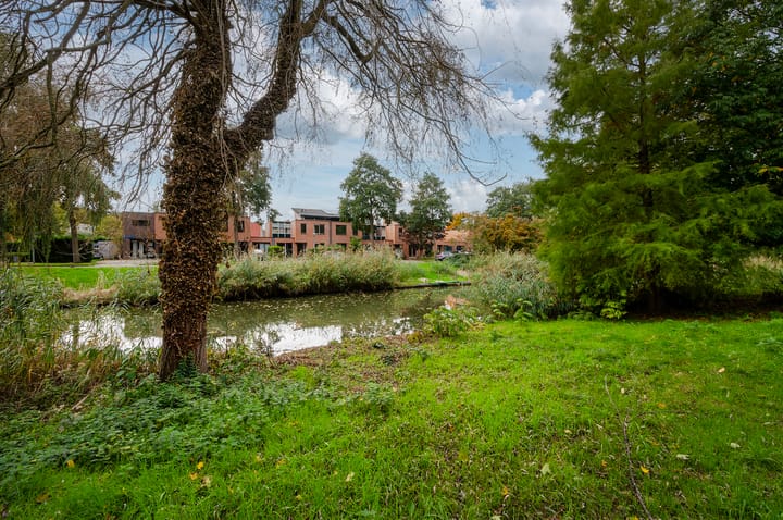 Photo 43 of Mandarijnstraat 55