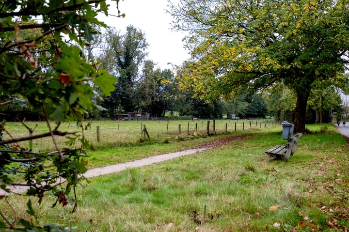 Photo 42 of Vestdijklaan 384