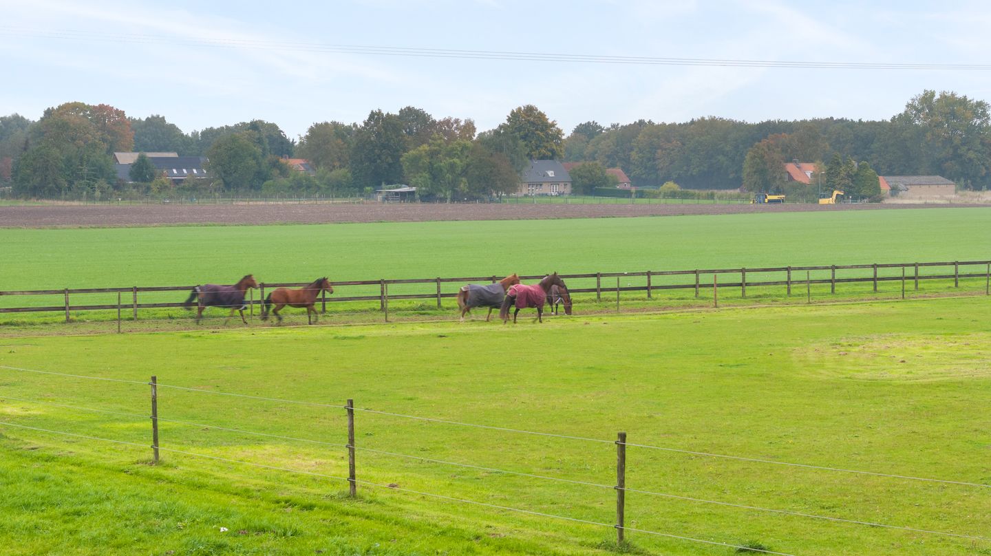 Foto 5 van Grafwegenerstrasse 16