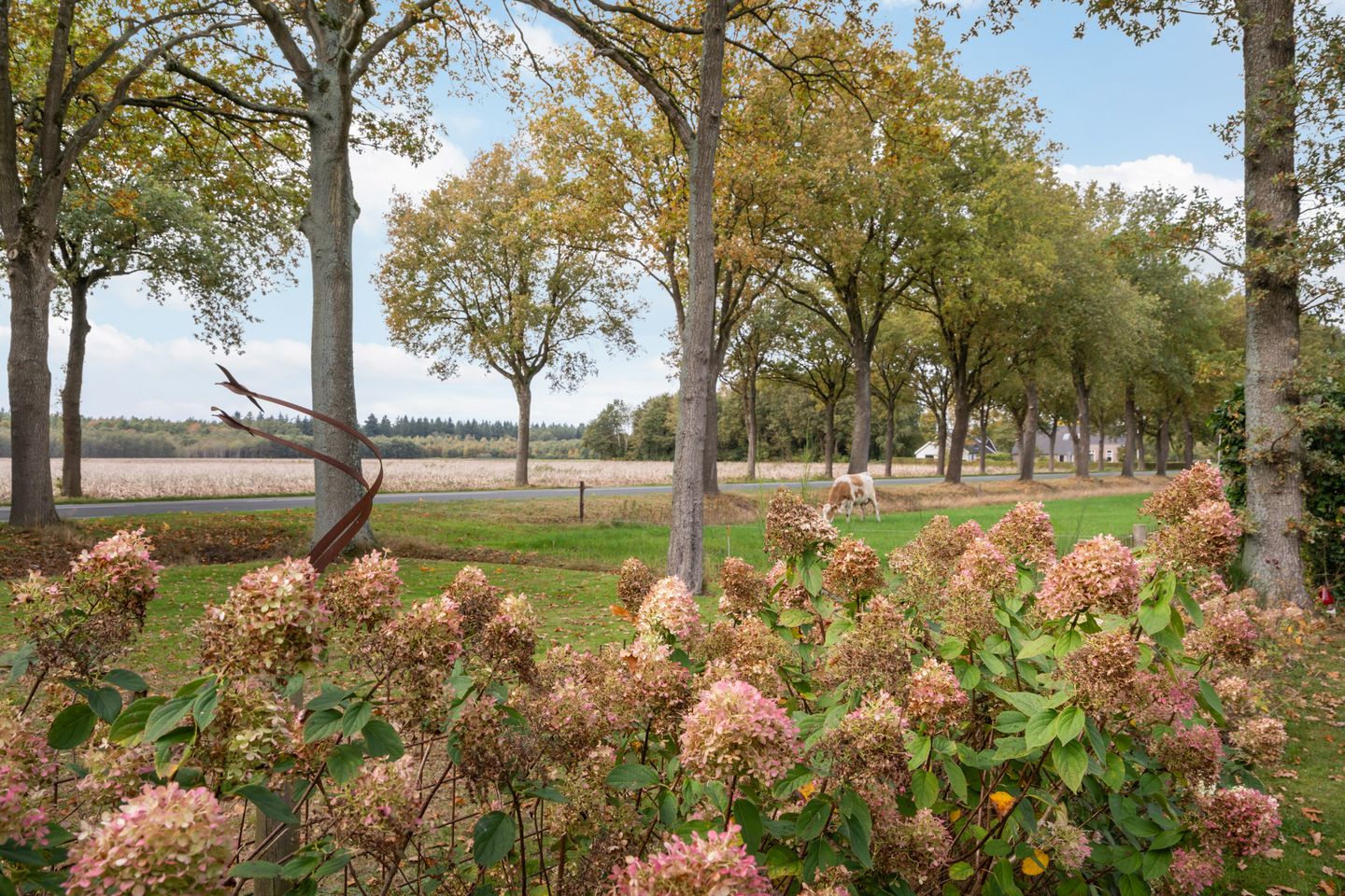 Foto 34 van Hoofdstraat 5