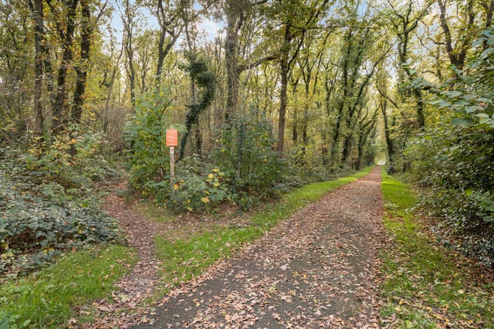 Foto 46 van Hoofdstraat 5