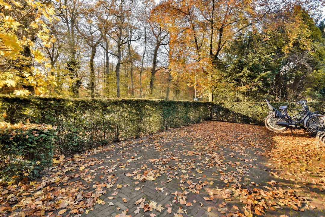 Photo 17 of Mollaan 1-C