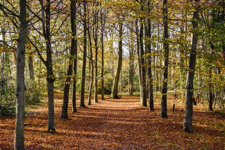 Foto 18 van Mollaan 1-C