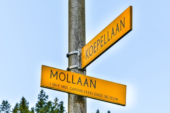 Foto 20 van Mollaan 1-C