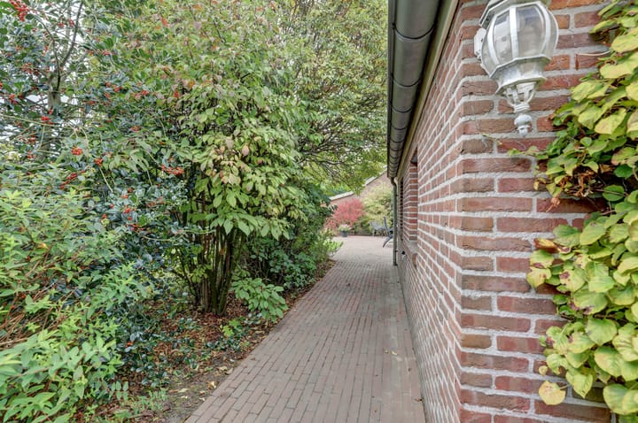 Foto 40 van Hoveniersstraat 6