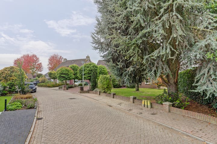 Foto 41 van Hoveniersstraat 6