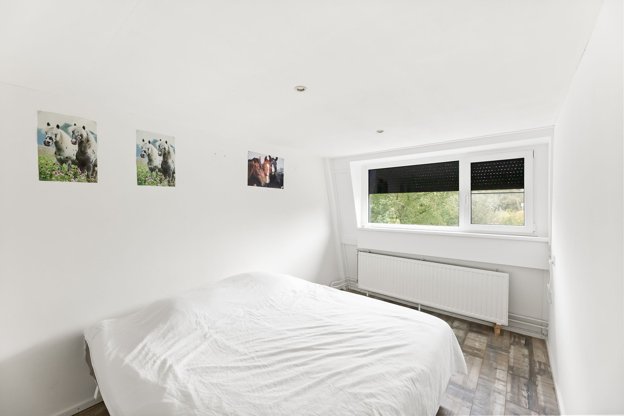 Foto 27 van Westerzicht 733