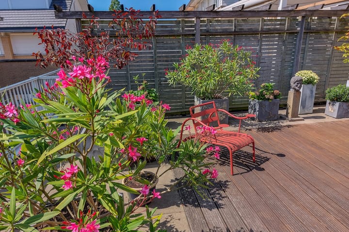 Foto 15 van Molenweide 85