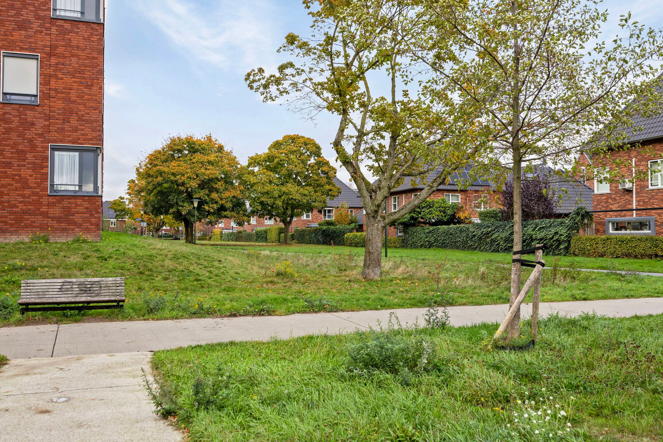 Foto 39 van Cellostraat 43