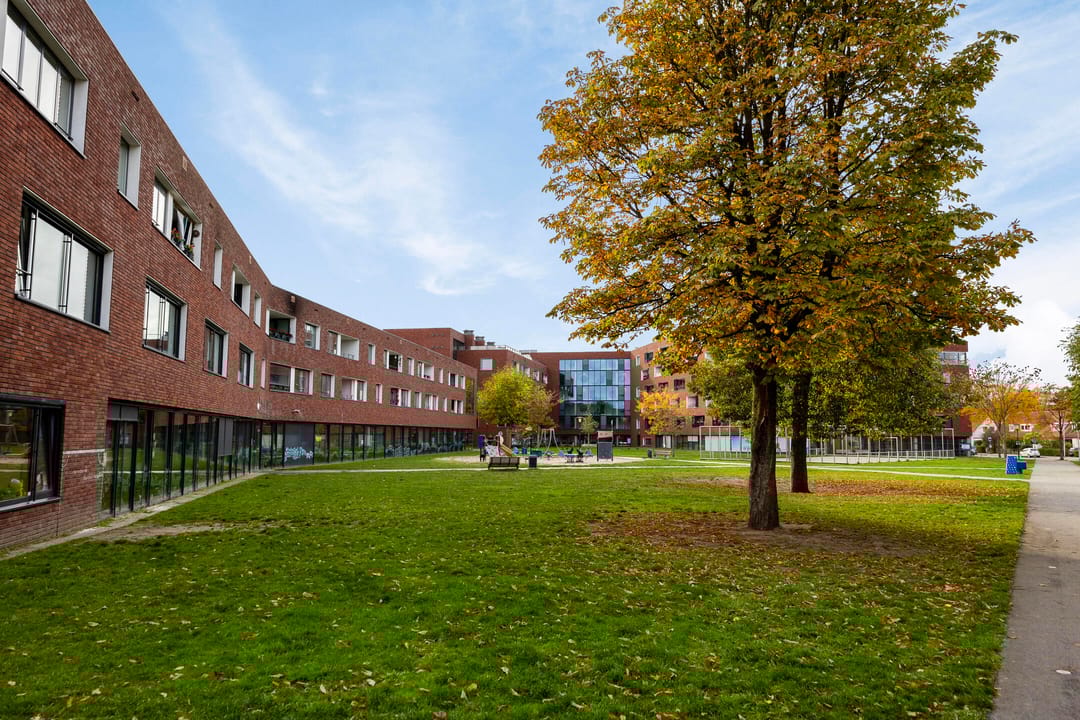 Foto 41 van Cellostraat 43