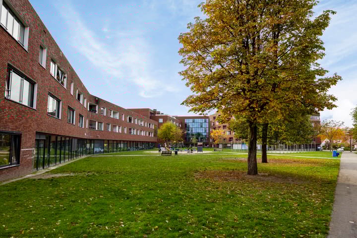 Foto 41 van Cellostraat 43