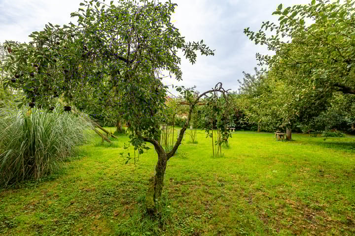 Photo 75 of Borgercompagnie 86