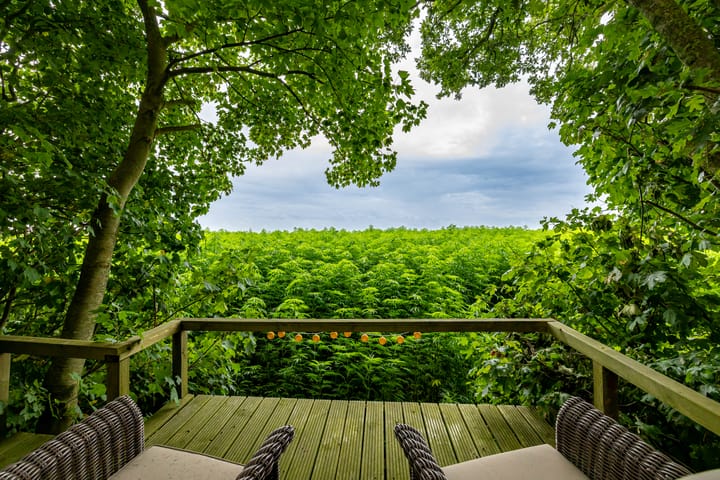 Photo 84 of Borgercompagnie 86