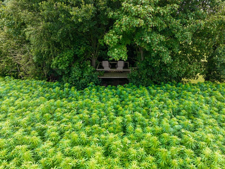 Photo 96 of Borgercompagnie 86