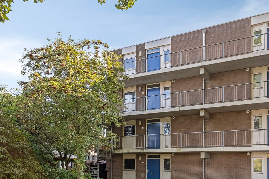 Foto 22 van Andijkstraat 91