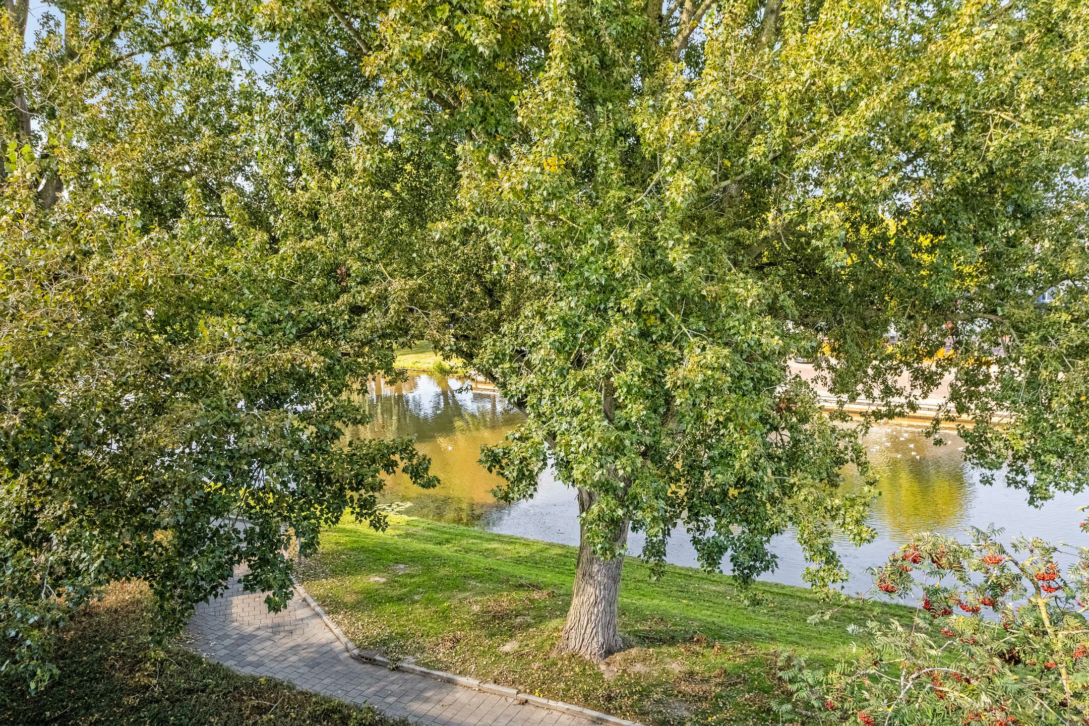 Foto 24 van Andijkstraat 91