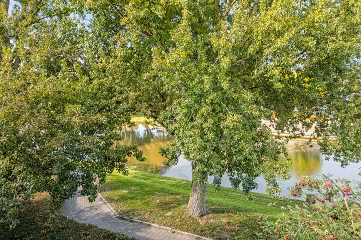 Photo 24 of Andijkstraat 91