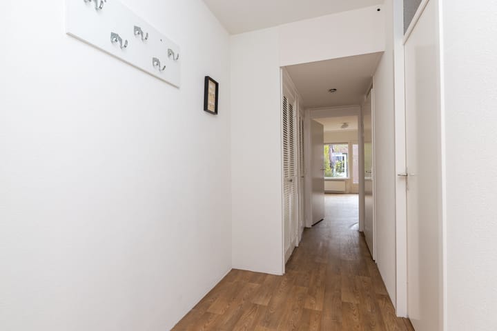 Photo 10 of Houtzaagmolen 100