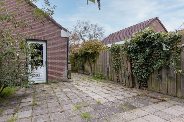 Photo 27 of Houtzaagmolen 100