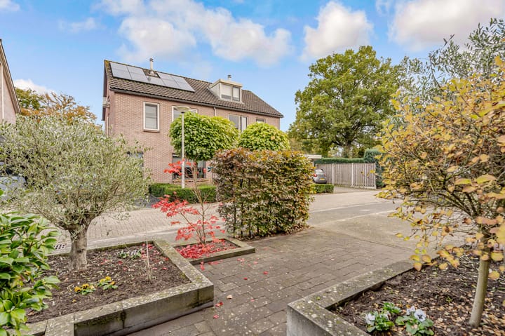 Photo 55 of de Pas 54