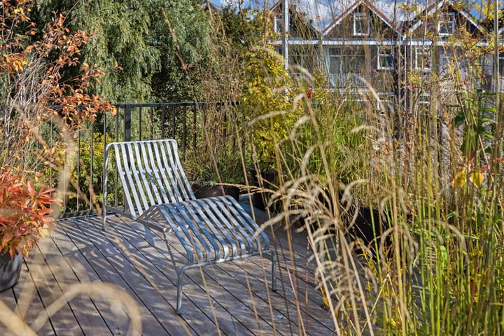 Foto 29 van Herman Costerstraat 26