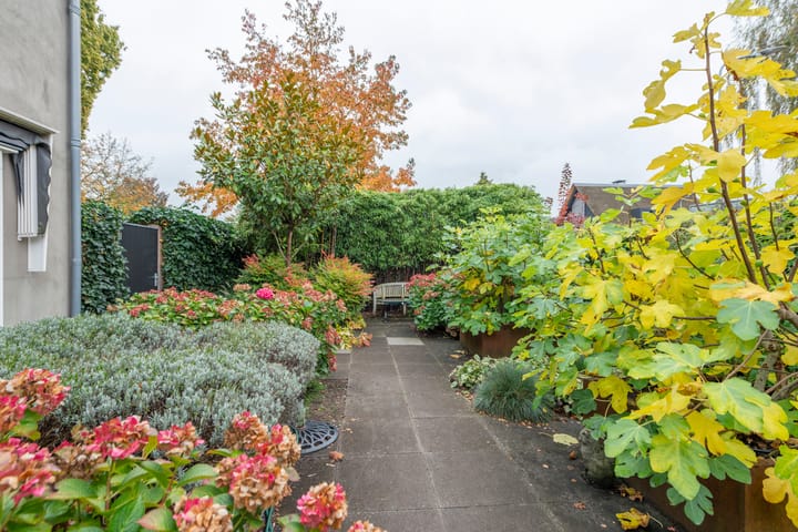 Foto 41 van Kortelaan 1