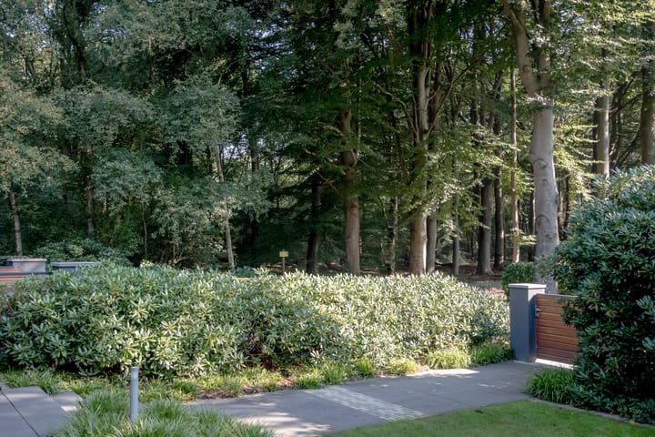 Photo 9 of Pucklaan 13