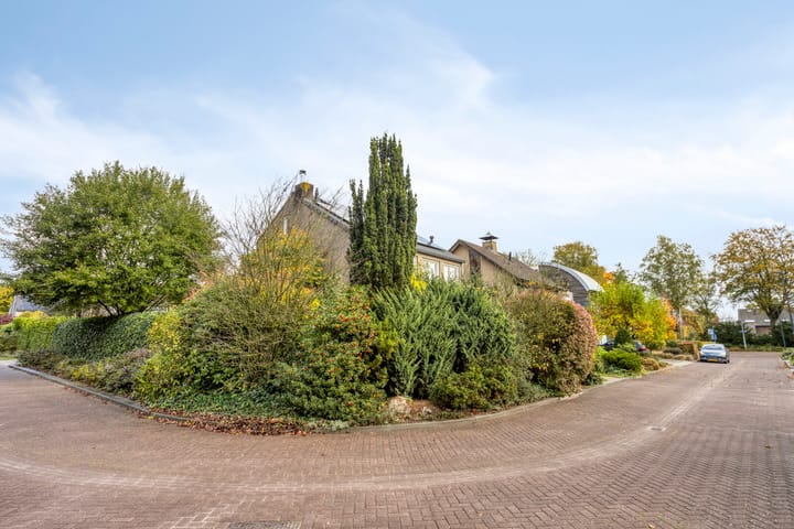 Foto 34 van De Geelgieter 9