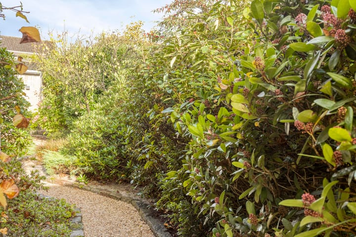 Foto 35 van De Geelgieter 9