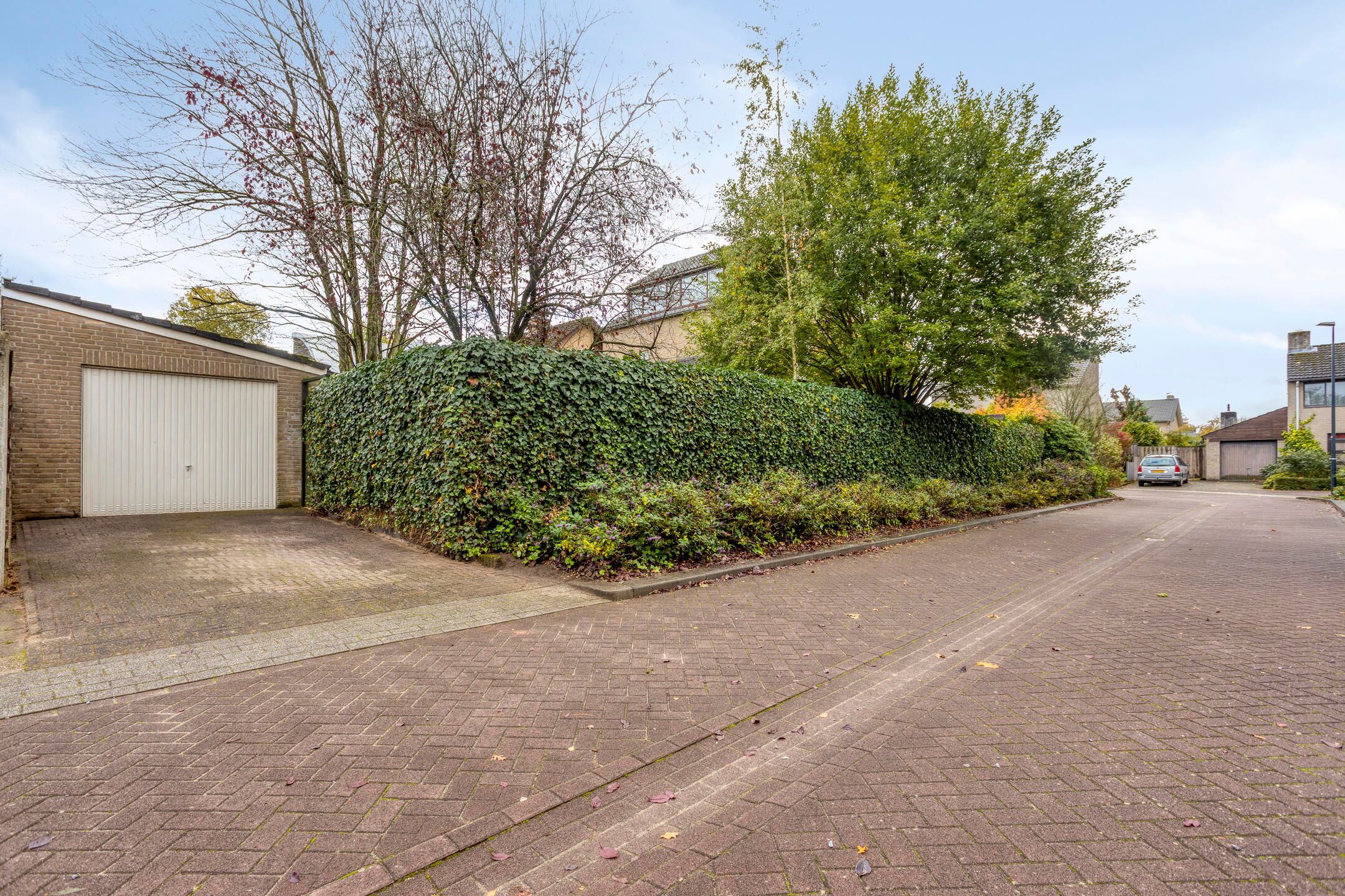 Foto 36 van De Geelgieter 9