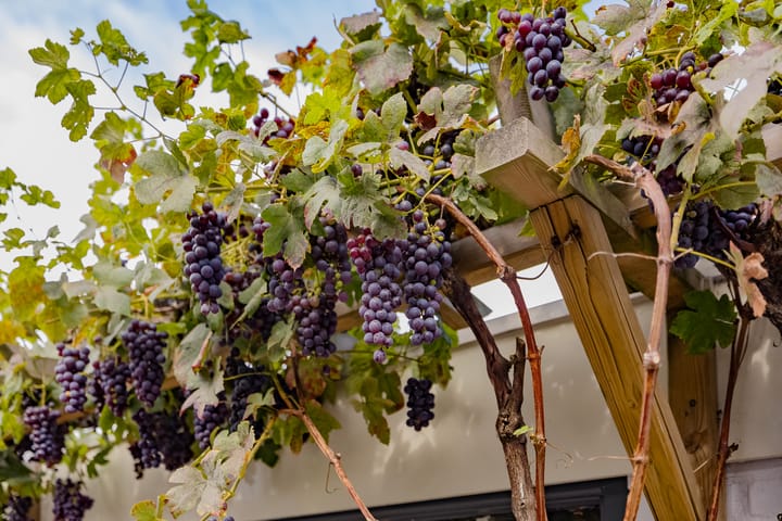 Foto 26 van Wijk aan Zeeërweg 28