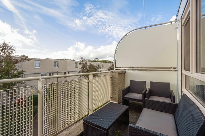 Photo 56 of Ponyweide 57