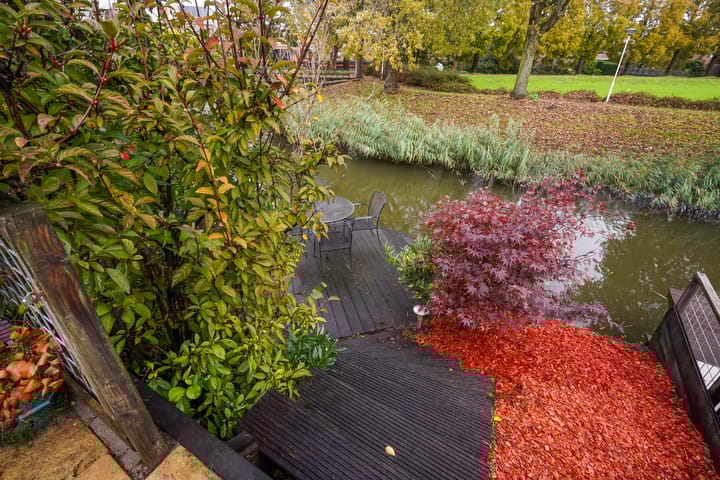 Photo 63 of Ponyweide 57